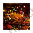 LED-es fényfüzér, 100LED, 8pr., színes, kültéri LED-es fényfüzér, 100LED, 8pr., színes, kültéri