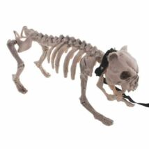 Halloween dekor kutya csontváz