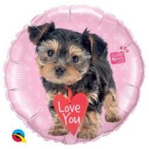 45 vcm studio pets love you terrier fólia lufi