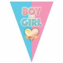 Zászlófüzér Boy or Girl