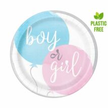 Boy or Girl parti tányér
