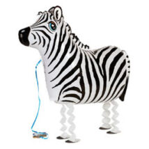 Sétáló zebra