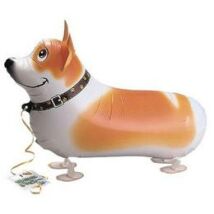 Sétáló Welsh Corgi Kutya Lufi