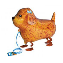 Sétáló Pudlikutya Lufi