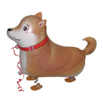 Sétáló shiba-inu fólia lufi