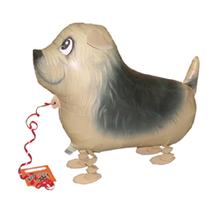Sétáló Terrier Lufi