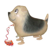 Sétáló Terrier Lufi