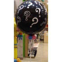 Boy_or_girl_gender_party_heliumos_dekoracio_nagy
