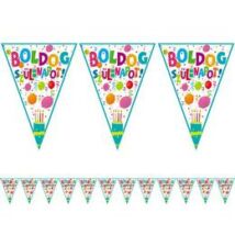 Boldog szülinapot jamboree zászlófüzér