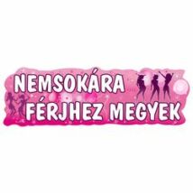 Nemsokára férjhez megyek banner 90cm