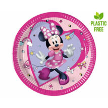 MINNIE EGÉR PARTI TÁNYÉR