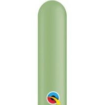 260q cactus modellező lufi