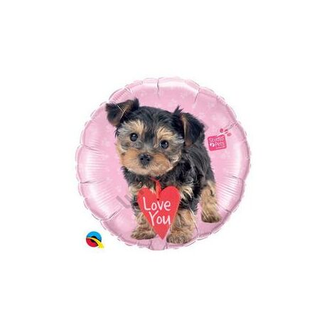 45 vcm studio pets love you terrier fólia lufi