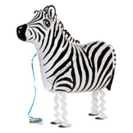 Sétáló zebra