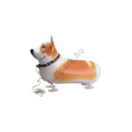 Sétáló Welsh Corgi Kutya Lufi