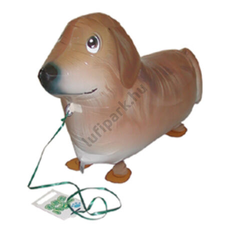 Sétáló Golden Retriver Lufi