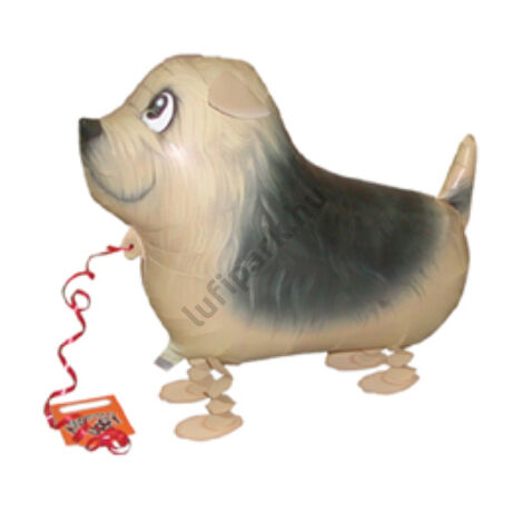 Sétáló Terrier Lufi