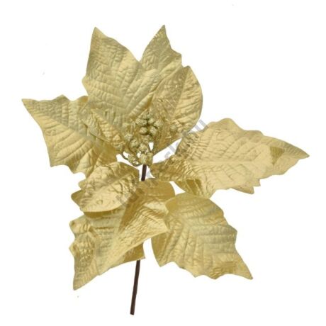 Mikulásvirág betűzős 12 cm